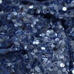 IMG_2594 Lentejuela - 2594